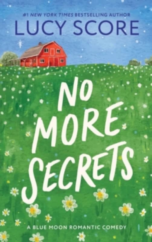 No More Secrets : A Small Town Opposites Attract Romcom Paperback / softback