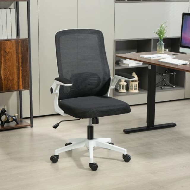 HOMCOM Mesh Desk Chair with Tilt Function, Lumbar Support, Black Black