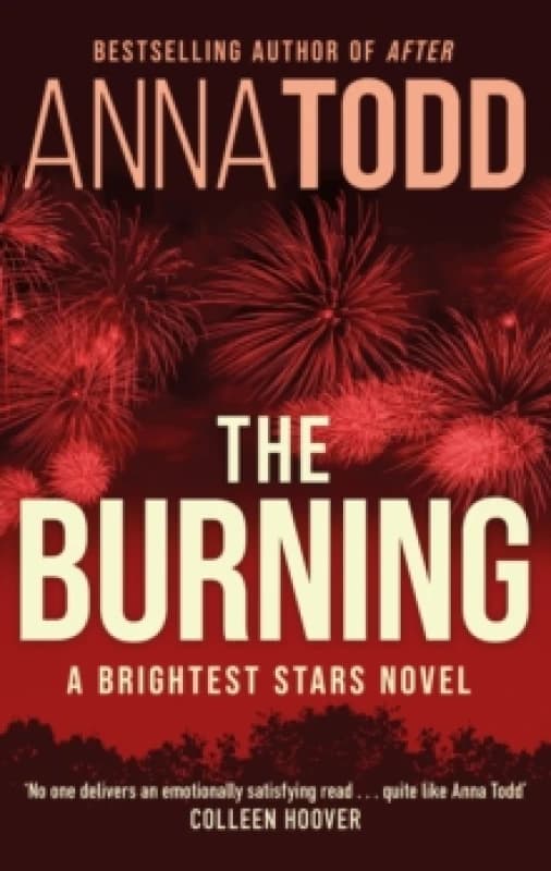 The Burning. Paperback. By Anna Todd Books