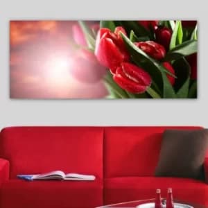 YTY83107504_50120 Multicolor Decorative Canvas Painting