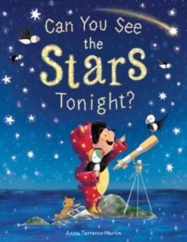 Can You See the Stars Tonight? Paperback / softback