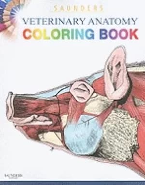 saunders veterinary anatomy coloring book