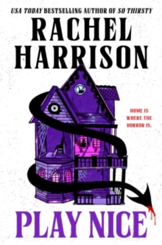 Play Nice Paperback / softback