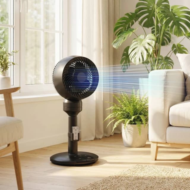 HOMCOM 9" Pedestal Cooling Fan with Adjustable Speed & Mode in Black Unisex