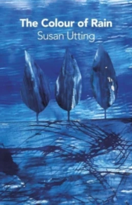 The Colour of Rain Paperback / softback