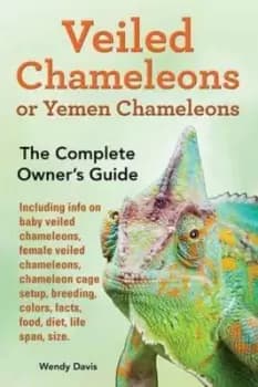 Veiled Chameleons or Yemen Chameleons as Pets Info on Baby Veiled Chameleons Female Veiled Chameleons Chameleon Cage Setup Breeding Colors Facts Food