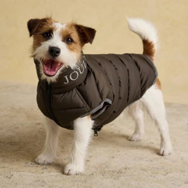 Rosewood X Joules Moorsdale Ketchup Reversible Puffer Dog Coat