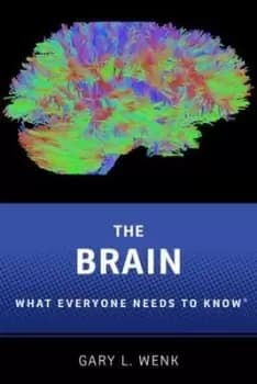 The brain by Gary Lee Wenk