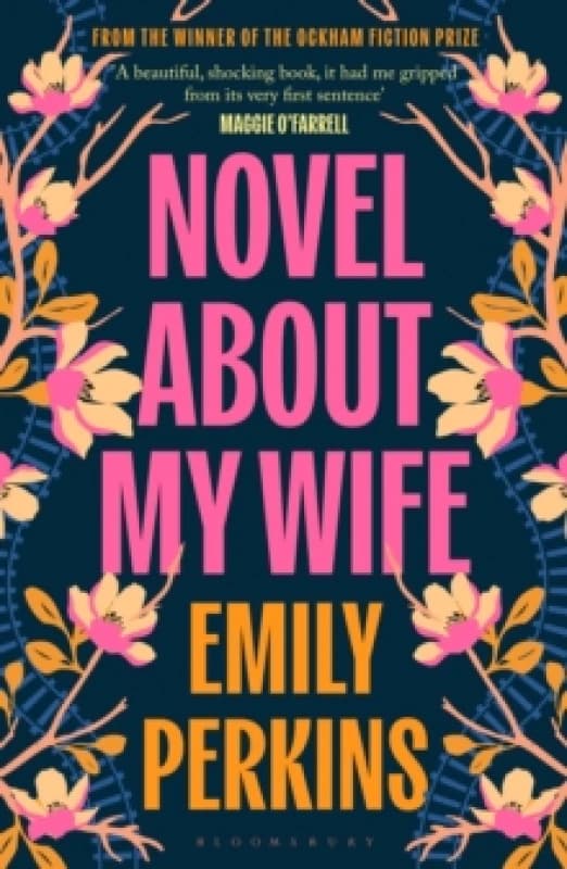 Novel About My Wife Paperback / softback