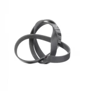 GATES Poly V-Belt VW,SUZUKI,FIAT 6PK1375 55203815,55203815,55203815 Ribbed Belt,V Ribbed Belt,Multi V Belt,Poly Belt,V-Ribbed Belts 11280300802