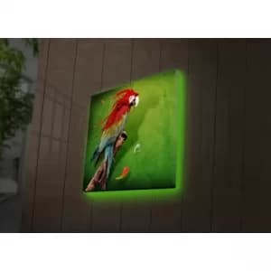 4040DACT-44 Multicolor Decorative LED Lighted Canvas Painting