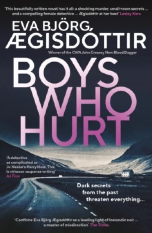 Boys Who Hurt : The chilling, intriguing, MASTERFUL new Forbidden Iceland mystery Volume 5 Paperback / softback