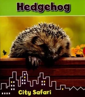 Hedgehog by Isabel Thomas Book