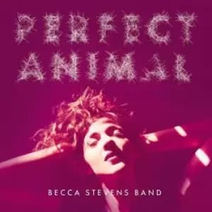 Perfect Animal by Becca Stevens Band CD Album