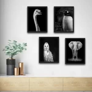 Elephant Set Multicolor Decorative Framed Painting (4 Pieces)