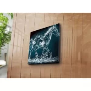 4545NAT-1 Multicolor Decorative Canvas Painting