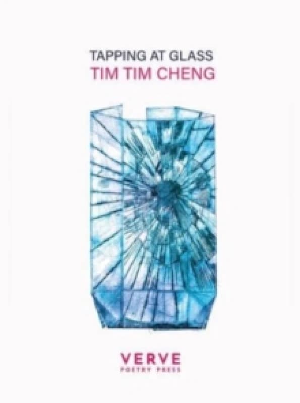Tapping At Glass Paperback / softback