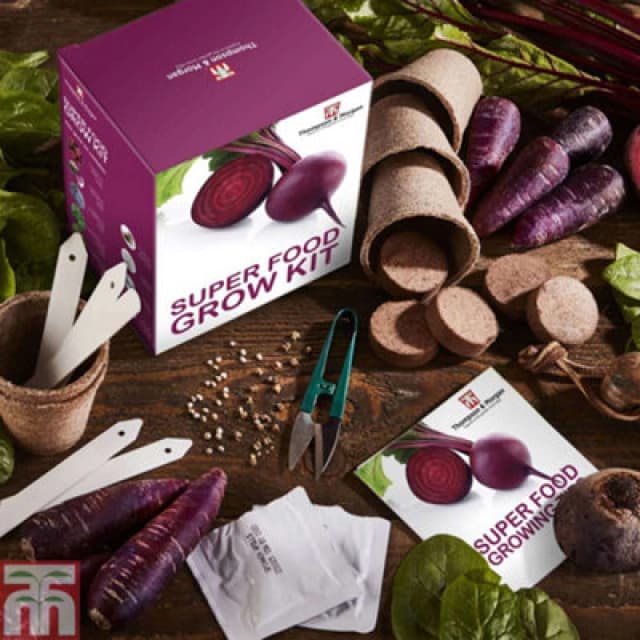 Thompson & Morgan Seed Growing Kit - Super Foods