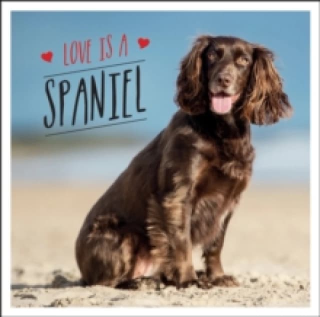 Love is a Spaniel : A Dog-Tastic Celebration of the Worlds Most Lovable Breed Hardback