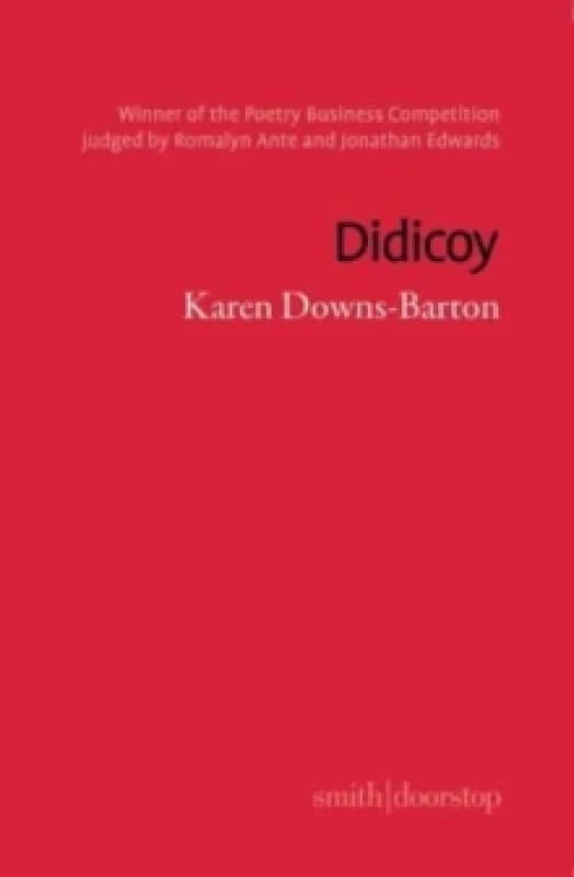Didicoy Paperback / softback