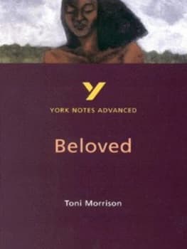 Beloved Toni Morrison by Laura Gray Paperback