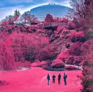 Swooner by The Zolas CD Album