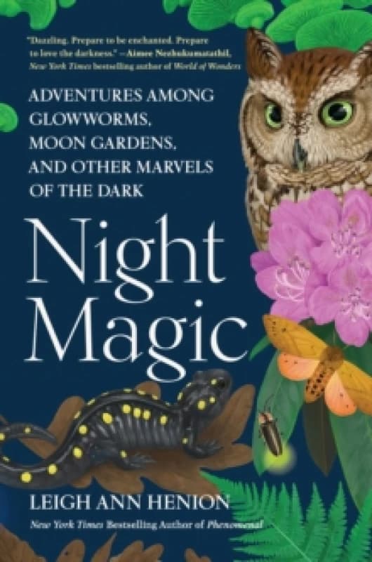 Night Magic Hardback