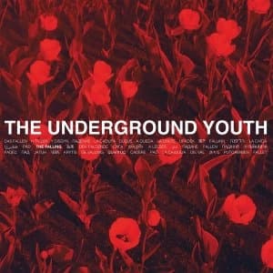 The Underground Youth - The Falling Vinyl