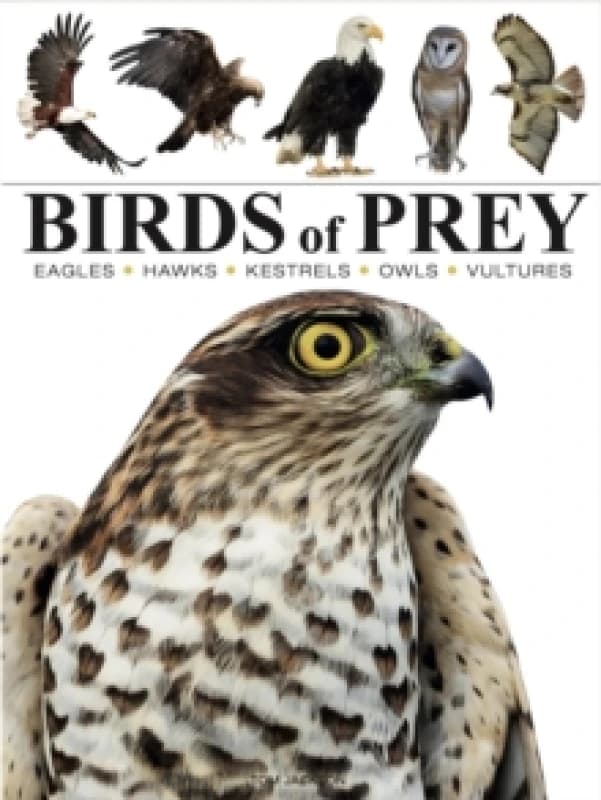 Birds of Prey Paperback / softback