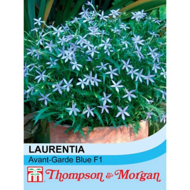 Thompson & Morgan Laurentia Avant-Garde Blue F1 Hybrid 1 Seed Packet (50 Seeds)