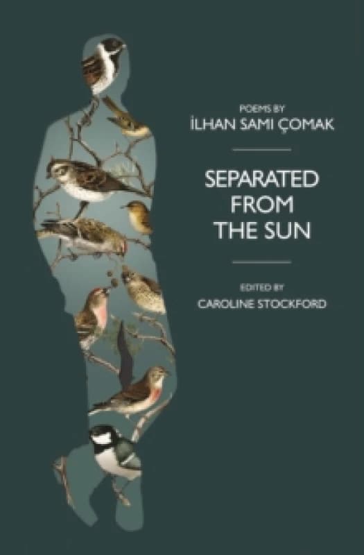 Separated from the Sun Paperback / softback