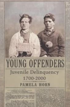 Young Offenders by Pamela Horn Hardback