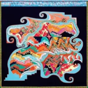 Since Time Is Gravity by Natural Information Society CD Album