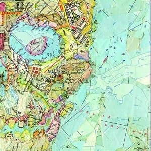 Life And Times - Skull Map Vinyl