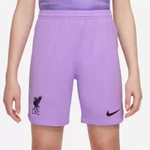 Nike Liverpool FC 2022/23 Home Nike DRI-FIT Goalkeeper Shorts Junior - Purple