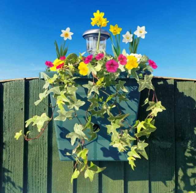 You Garden Yougarden 4-In-1 Self Watering Go Illumiwell Planter, Forest Green, 3L Water Reservoir, Solar Fence Light, Garden Decor