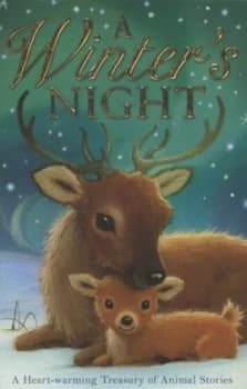 A Winters Night by Alison Edgson Paperback