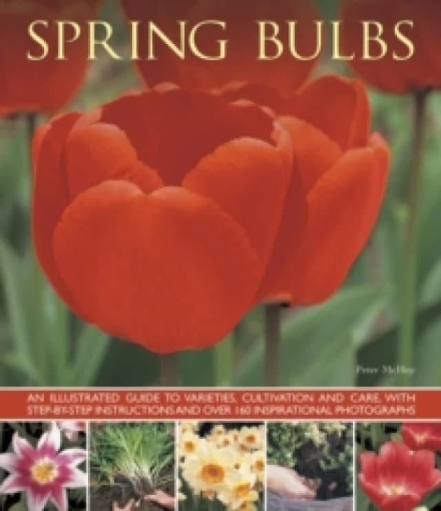 Spring Bulbs Paperback / softback