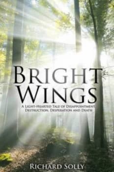 Bright Wings by Richard Solly Hardback