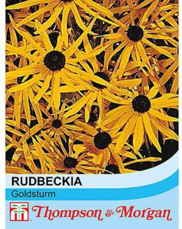 Thompson & Morgan Rudbeckia Goldsturm 1 Seed Packet (100 Seeds)