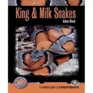 King & milk snakes by Adam Black