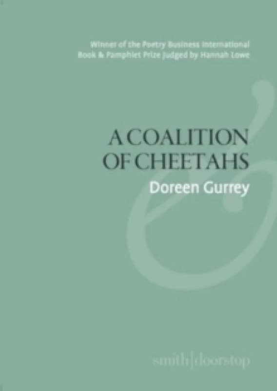 A Coalition of Cheetahs Paperback / softback