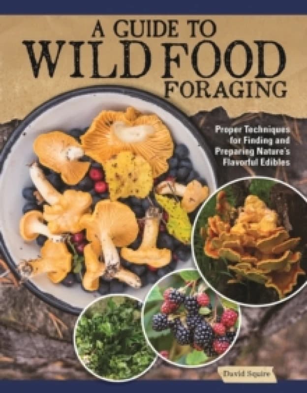 A Guide to Wild Food Foraging : Proper Techniques for Finding and Preparing Nature's Flavorful Edibles Paperback / softback