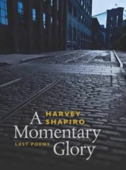 A Momentary Glory by Harvey Shapiro Hardback