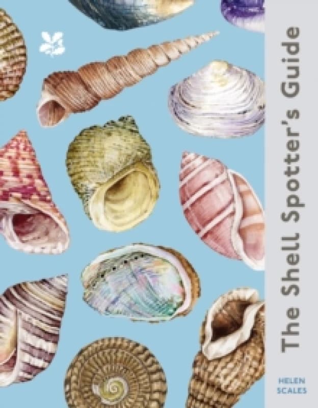 The Shell-Spotter's Guide. Hardback. By Helen Scales Books