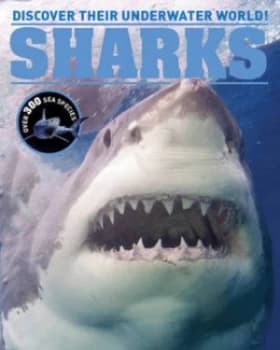 Sharks by Grace Harvey Hardback