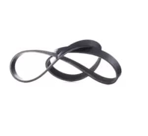 RIDEX V-ribbed belt BMW,OPEL,FORD 305P0176 11287507626,11287636374,55556404 12634319,12639468,5750P8,6453AC,6453AE,6453CY,6453TV,96126957,96155380