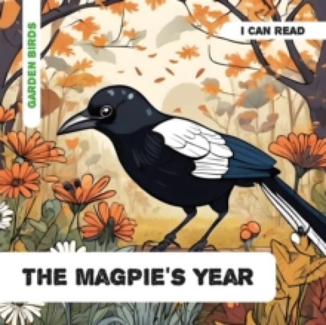 The Magpie's Year : Decodable Phonics Reader (Ages 5-7) Paperback / softback