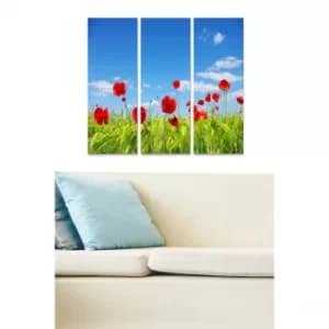 MDF96171398 Multicolor Decorative MDF Painting (3 Pieces)