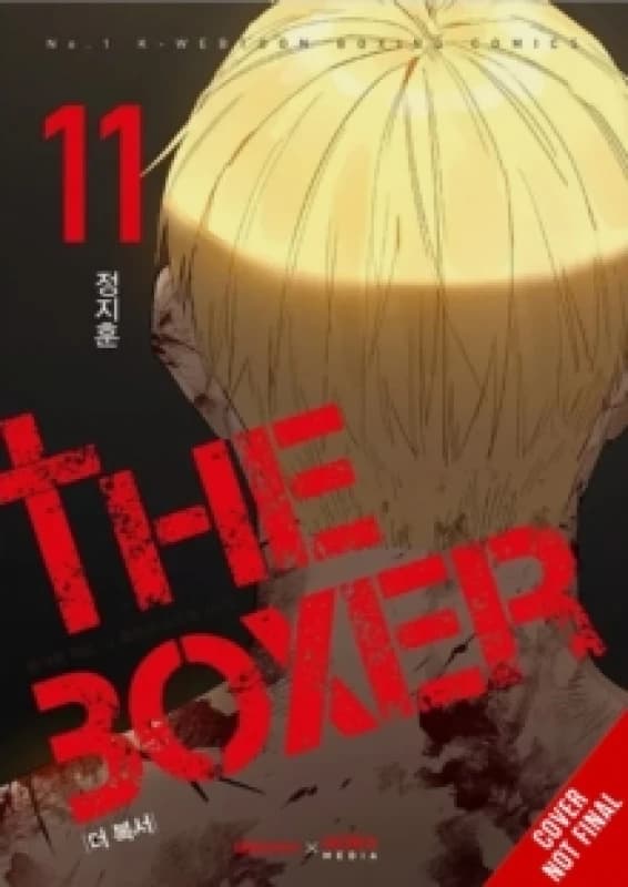 The Boxer, Vol. 11 Paperback / softback